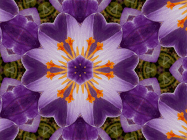 Kaleidoscopic Garden 22