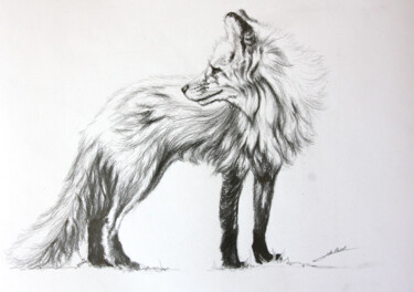 Zeichnungen mit dem Titel "Dessin de Renard" von Jean-Baptiste De Poret, Original-Kunstwerk, Bleistift