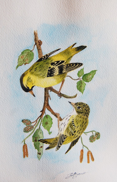 couple de tarins des aulnes - aquarelle originale signée Painting titled "couple de tarins de…" by Patricia Giroldini Hyvernat, Original Artwork, Watercolor