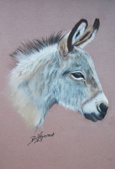 ane gris du cotentin - pastel original signé Рисунок под названием "ane gris du cotenti…" - Patricia Giroldini Hyvernat, Подлинное произведение искусства, Пастель