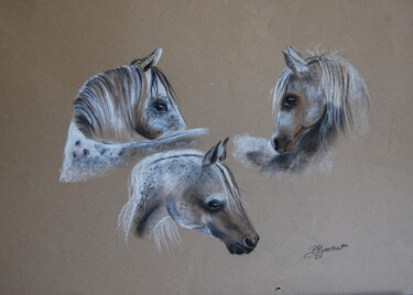 etude de chevaux appaloosa - pastel signé 「etude de chevaux ap…」というタイトルの描画 Patricia Giroldini Hyvernatによって, オリジナルのアートワーク, チョーク