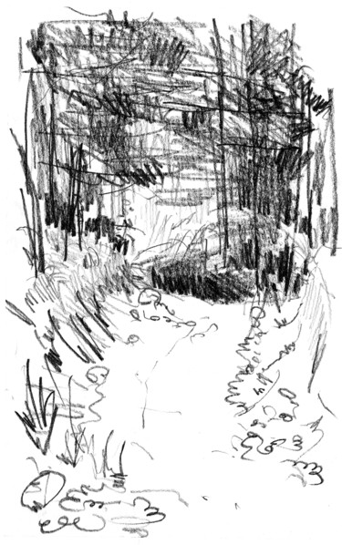 제목이 "sous-bois-3.jpg"인 그림 Bob Clement로, 원작