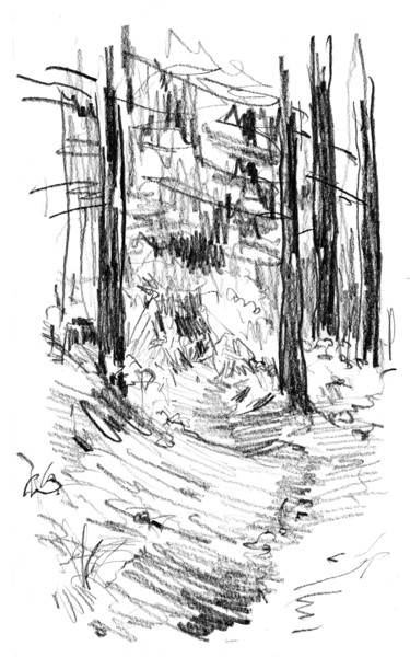 제목이 "sous-bois-2.jpg"인 그림 Bob Clement로, 원작