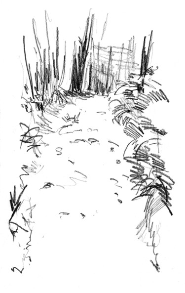 제목이 "sous-bois-1.jpg"인 그림 Bob Clement로, 원작