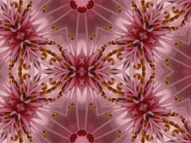 Kaleidoscopic Garden 30