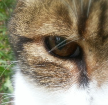 regard