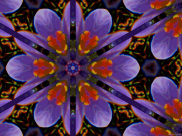 Kaleidoscopic Garden 33