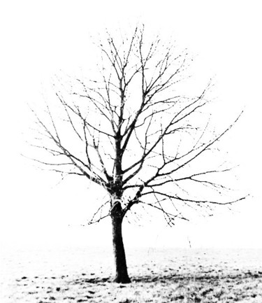 303.