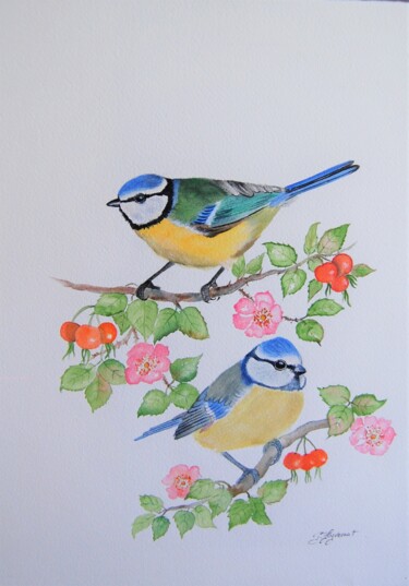 mésanges bleues - aquarelle originale signée Painting titled "mésanges bleues -…" by Patricia Giroldini Hyvernat, Original Artwork, Watercolor