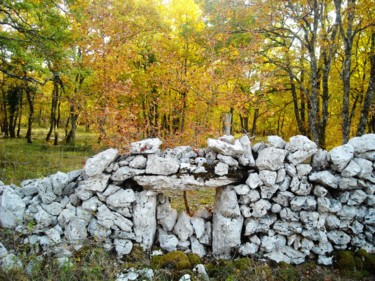 Muret de pierres sèches en forêt
