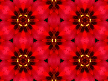 Kaleidoscopic Garden 56