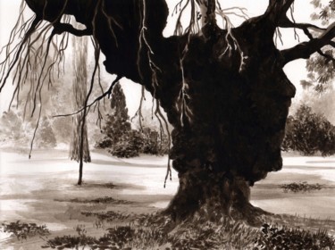 Drawing titled "Parc sainte Marie d…" by Rajahfoo, Original Artwork, Ink
