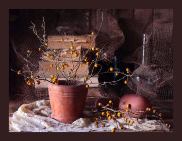 Photography titled "Still Life #17 by I…" by Elena Kotliarker, Original Artwork