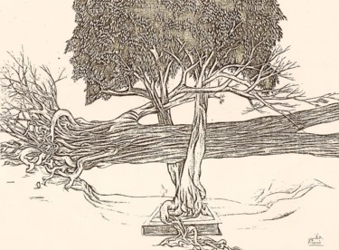 Dibujo titulada "principe des racines" por Hamza Rhani, Obra de arte original, Bolígrafo