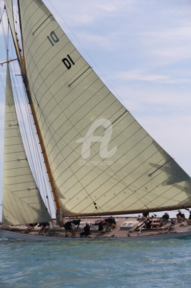 voiles 01
