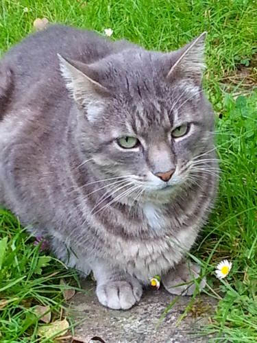 Attentif