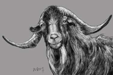 Arts numériques intitulée "Bouc" par Sandrine Wely, Œuvre d'art originale