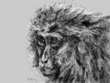 Arts numériques intitulée "Portrait d'un macaq…" par Sandrine Wely, Œuvre d'art originale