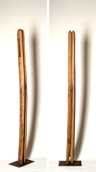 AIGUILLE N°1
