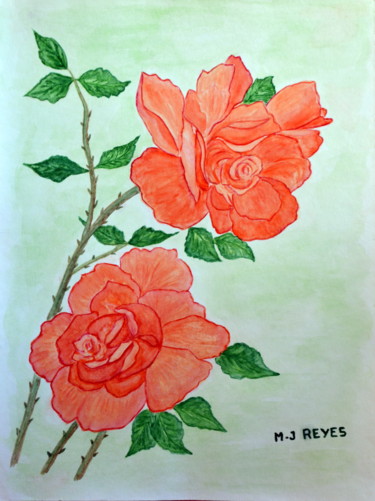Roses Fortuniana