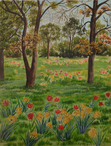 Champ de tulipes dans un sous-bois