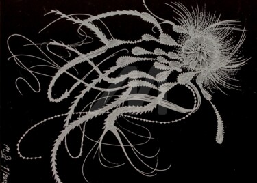 Dessin intitulée "Fleur d'Ô III" par Mona Bessaa, Œuvre d'art originale, Encre