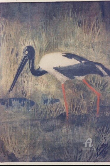 Black necked stork Painting titled "Black necked stork" by Prodip Kumar Sengupta, Original Artwork, Watercolor