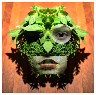 Arts numériques intitulée "portrait-vegetal" par Jeff, Œuvre d'art originale, Photo montage