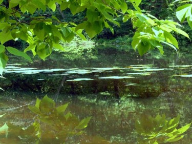 Photography titled "NJ Blueleaves" by Angelo Di Pietrantonio, Original Artwork