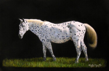 图画 标题为“L'appaloosa” 由Michel Guillet, 原创艺术品, 粉彩