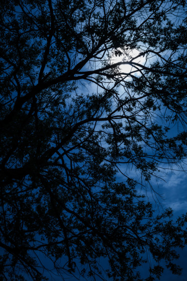 Fotografía titulada "Blue Caress of Feel" por Mario Morales Rubí, Obra de arte original