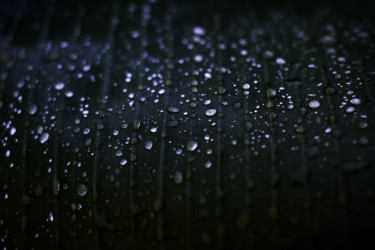 Fotografía titulada "Dark Dew" por Mario Morales Rubí, Obra de arte original, Fotografía digital
