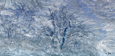 数字艺术 标题为“Désert bleu” 由Max Parisot Du Lyaumont, 原创艺术品, 数字油画 安装在木质担架架上
