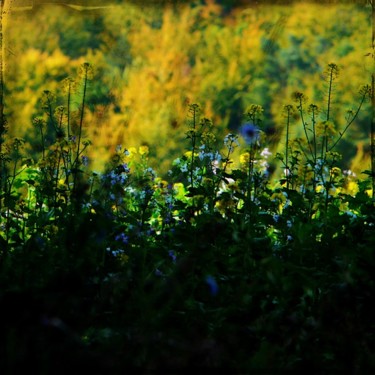 Clair obscur Photographie intitulée "Clair obscur" par Lepierrequimousse, Œuvre d'art originale