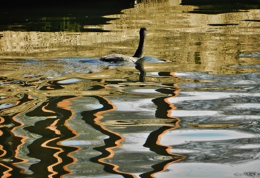 Reflets de Seine