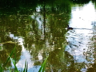 Reflets sur le lac