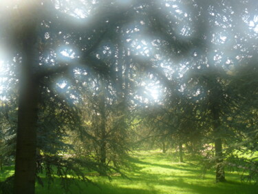 Photography titled "Jardin Albert Khan" by Béatrice Marie Penaud, Original Artwork