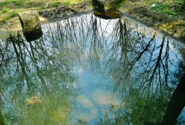 Reflets dans le lavoir 1