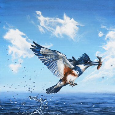Kingfisher.jpg