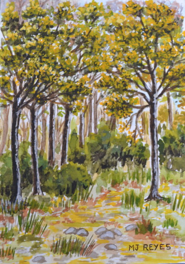 Sous-bois