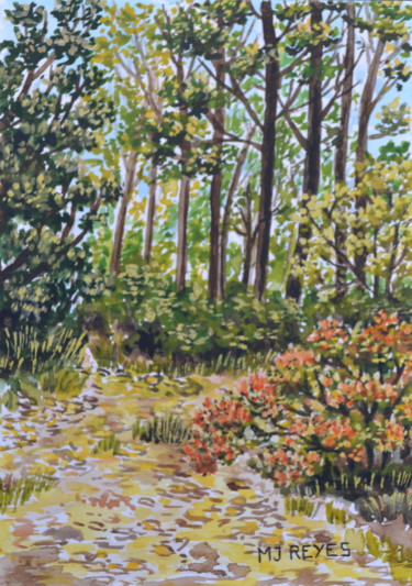 Promenade en forêt