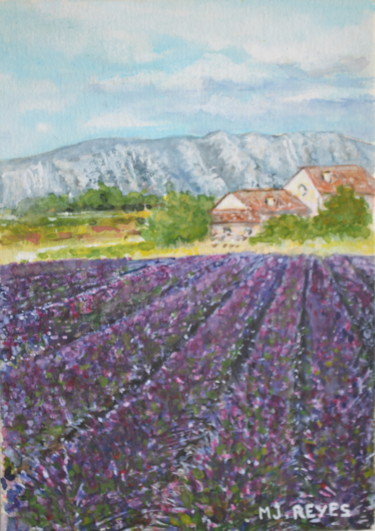 Champ de lavandes