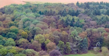 Photographie intitulée "Forêt vue du ciel" par Jean-Michel Liewig, Œuvre d'art originale