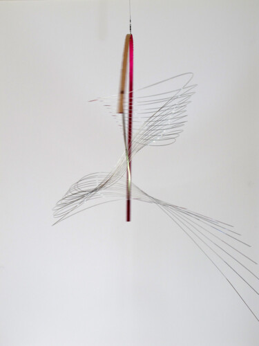 SUSPENSION 14/1