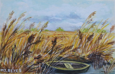 paysage de Camargue