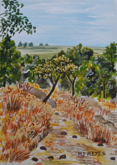 Balade en campagne