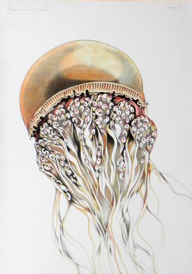 Drawing titled "orange jellyfish" by Federico Cortese, Original Artwork, Pencil