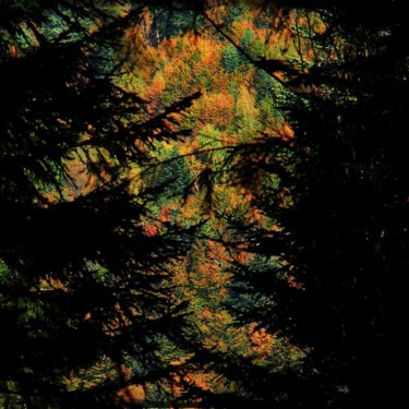 L'alpin Photographie intitulée "L'alpin" par Lepierrequimousse, Œuvre d'art originale