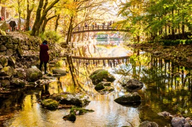 Photography titled "bridge.jpg" by Michael Photography, Original Artwork