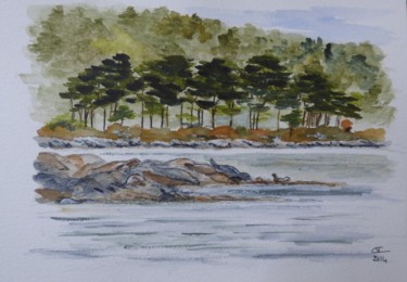 Where's the rock, where's the seal ? Painting titled "Where's the rock, w…" by Véronique Crombé, Original Artwork, Watercolor